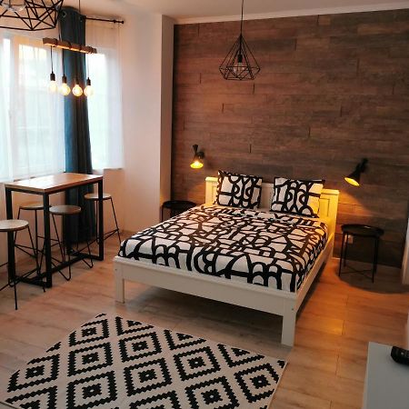 Central Park Studio 彼得罗沙尼 外观 照片