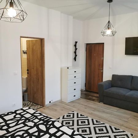 Central Park Studio 彼得罗沙尼 外观 照片