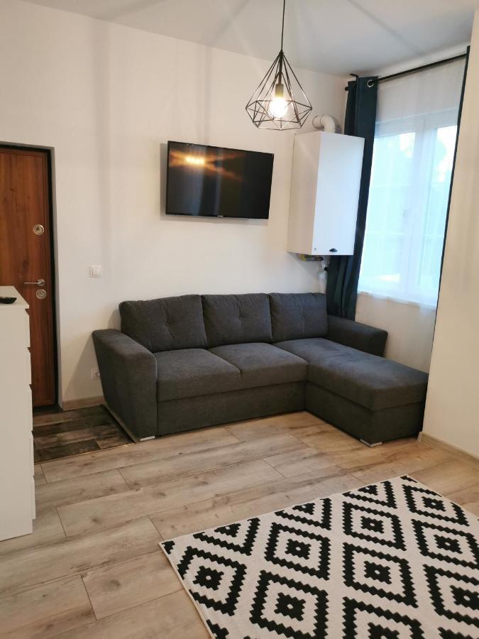 Central Park Studio 彼得罗沙尼 外观 照片